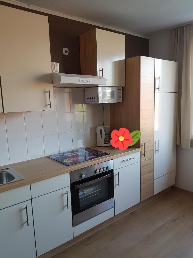 Apartment Graz Murpromenade Zewnętrze zdjęcie